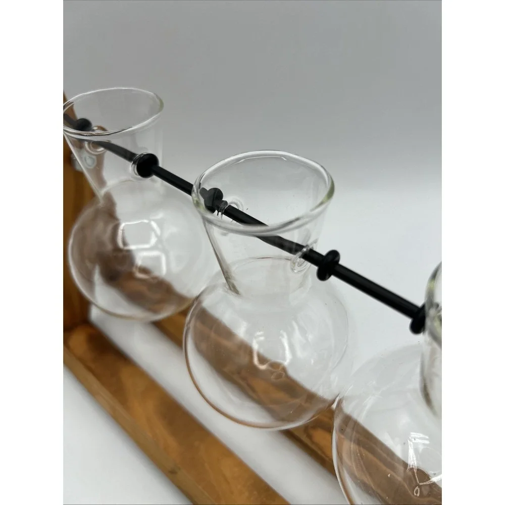 Trio Propagation Station with Wooden Stand, Plant Gift Stylish Plant Decor Glass